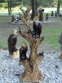 Pair of Perched Eagles